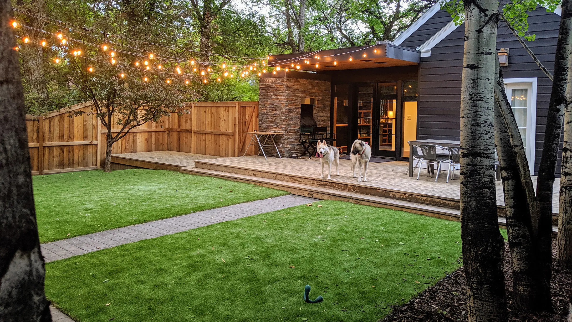Pet Friendly Artificial Turf